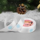 Лента атласная «Снежинки», 25 мм, 23 ± 1 м, цвет белый/голубой №001 - Фото 1