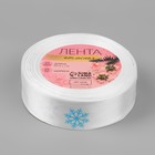 Лента атласная «Снежинки», 25 мм, 23 ± 1 м, цвет белый/голубой №001 - Фото 3