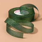 Лента парчовая, 20 мм, 23±1 м, зелёная №032 - Фото 2
