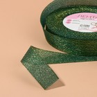 Лента парчовая, 20 мм, 23±1 м, зелёная №032 - Фото 3
