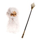 Карнавальный набор «Посейдон», парик, борода, трезубец - фото 9822328