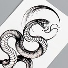 Татуировка на тело чёрная "Змея" МИКС 14х7 см - Фото 4