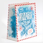 Пакет ламинированный вертикальный «Подарок от Деда Мороза», ML 23 × 27 × 11,5 см - Фото 2