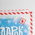 Пакет ламинированный вертикальный «Подарок от Деда Мороза», ML 23 × 27 × 11,5 см - Фото 5