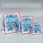 Пакет подарочный новогодний ламинированный «Подарок от Деда Мороза», ML 23 х 27 х 11,5 см - Фото 7
