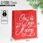 Пакет ламинированный вертикальный «Новогодний подарочек», ML 23 × 27 × 11,5 см - фото 318941327