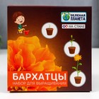 Подарочный набор для выращивания с глиняным горшочком (Бархатцы) 9088346 - фото 9823067