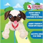 Интерактивная мягкая игрушка, собачка на поводке «Мопс» - Фото 4