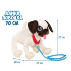 Интерактивная мягкая игрушка, собачка на поводке «Мопс» - Фото 10