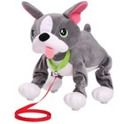 Интерактивная мягкая игрушка, собачка на поводке «Французский бульдог» - Фото 1