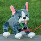 Интерактивная мягкая игрушка, собачка на поводке «Французский бульдог» - Фото 12