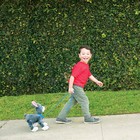 Интерактивная мягкая игрушка, собачка на поводке «Французский бульдог» - Фото 15