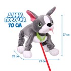 Интерактивная мягкая игрушка, собачка на поводке «Французский бульдог» - Фото 5