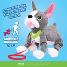 Интерактивная мягкая игрушка, собачка на поводке «Французский бульдог» - Фото 7