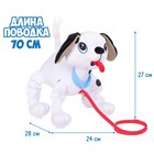 Интерактивная мягкая игрушка, собачка на поводке «Далматин» - Фото 6