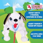 Интерактивная мягкая игрушка, собачка на поводке «Далматин» - Фото 7