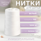 Нитки «Экстра» 100, 5000 м, цвет белый - фото 9823737