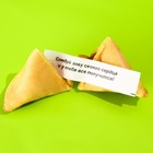 УЦЕНКА Печенье с предсказанием «Бывший», 1 шт. x 6 г. - Фото 2