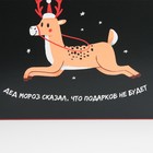 Коробка подарочная новогодняя складная «Подарков не будет», 16×23×7.5 см, Новый год 7816929