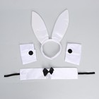 Карнавальный набор «Игривая зайка» (ушки+ чокер+ аксессуар на запястье) - фото 22724745