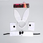 Карнавальный набор «Игривая зайка» (ушки+ чокер+ аксессуар на запястье) - фото 22724746