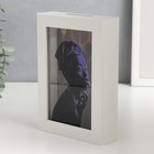 Интерьерная копилка для купюр и монет «Африка», пластик, 17×12×3.8 см 7810840 - фото 16578735