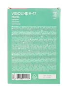 Маркер текстовыделитель ErichKrause Visioline V-17 Pastel, 0.6-4.5 мм, чернила на водной основе, розовый (комплект 12 шт) - фото 45438829