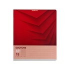 Тетрадь 18 листов в клетку ErichKrause Duotone Next, обложка мелованный картон, блок офсет, белизна 100%, МИКС - фото 21657196