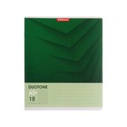 Тетрадь 18 листов в клетку ErichKrause Duotone Next, обложка мелованный картон, блок офсет, белизна 100%, МИКС - фото 21657198