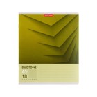 Тетрадь 18 листов в клетку ErichKrause Duotone Next, обложка мелованный картон, блок офсет, белизна 100%, МИКС - фото 21657199