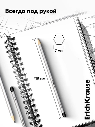 Набор карандашей чернографитных различной твердости 6 штук, ErichKrause, грифель d=2.2 мм, шестигранные, ударопрочные, серебро, в коробке