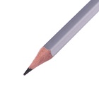 Набор карандашей чернографитных ErichKrause. ArtBerry, 12 штук, разной твёрдости, шестигранные, деревянные, серебристый корпус - Фото 5