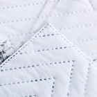 Покрывало "Этель" 1,5 сп Snow forest, 145х210см, микрофибра 9079344 - фото 10786792