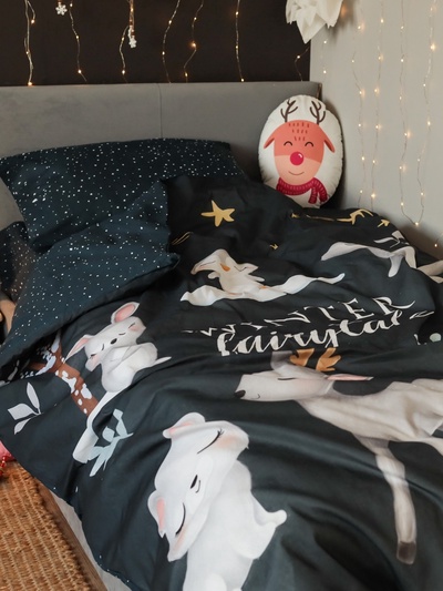 Постельное бельё 1.5-спальное «Этель» Winter fairytale, бязь