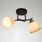 Люстра 2176/2 E27 40Вт кофе-золото 43х26х22 см BayerLux 7153776