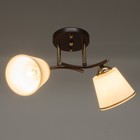 Люстра 2176/2 E27 40Вт кофе-золото 43х26х22 см BayerLux 7153776