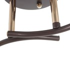 Люстра 2176/2 E27 40Вт кофе-золото 43х26х22 см BayerLux 7153776