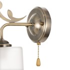 Бра 2186/1 E27 40 Вт бронза 22×11×20 см - фото 4058239