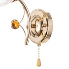 Бра 2195/1 E27 40Вт золотой 16х13х23 см - фото 21657555