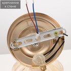 Бра 2201/1 E27 40Вт золотой - фото 23773915