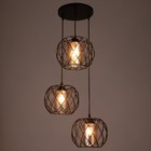 Светильник BayerLux 2089/3BK E27 40Вт черный - фото 38940565