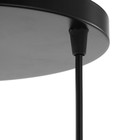 Светильник BayerLux 2093/3BK E27 40 Вт черный - фото 43001494