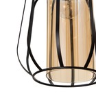 Светильник BayerLux 2100/3BK E27 40 Вт черный - фото 43726338