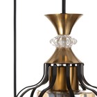 Светильник BayerLux 2100/3BK E27 40 Вт черный - фото 43726339