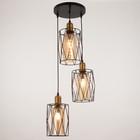 Светильник BayerLux 2101/3BK E27 40 Вт черный - фото 3784114