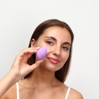 Спонж для макияжа в футляре «Капля», 6,5 × 4,4 см, увеличивается при намокании, цвет МИКС - фото 24650555