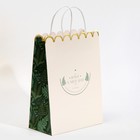 Пакет подарочный крафтовый, упаковка, «Nice day», 23 х 30 х 12 см - Фото 2