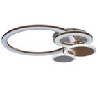 Люстра с ПДУ «Ринго» 4хLED 100 Вт 3000-6000К золото 60×50×10.5 см - фото 4368654