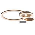 Люстра с ПДУ «Ринго» 4хLED 100 Вт 3000-6000К золото 60×50×10.5 см - фото 4368655