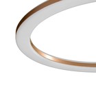 Люстра с ПДУ «Ринго» 4хLED 100 Вт 3000-6000К золото 60×50×10.5 см - фото 4368657